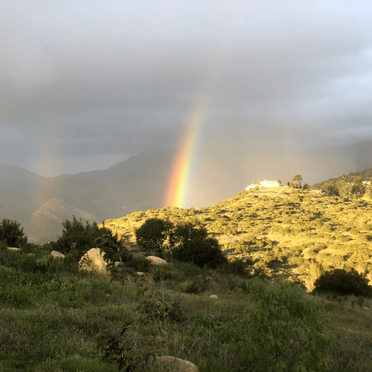 Arrived San Diego to&nbsp;sunshine