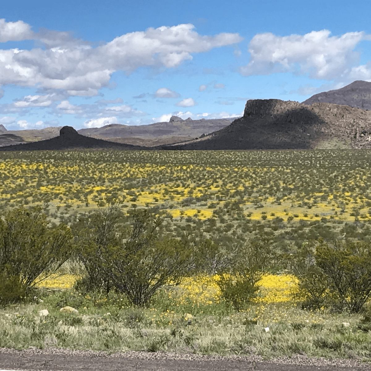 Day 14. 40 mi. 4 hrs. Safford to Duncan&nbsp;AZ