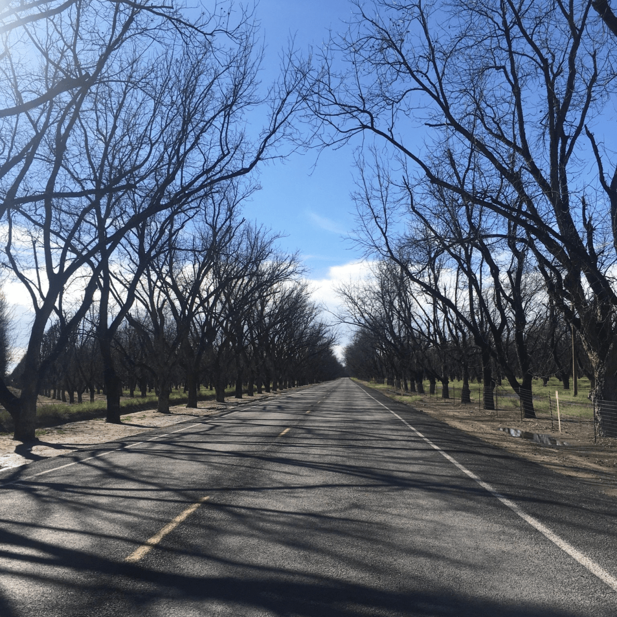 Day 19. Made it to El Paso&nbsp;Texas