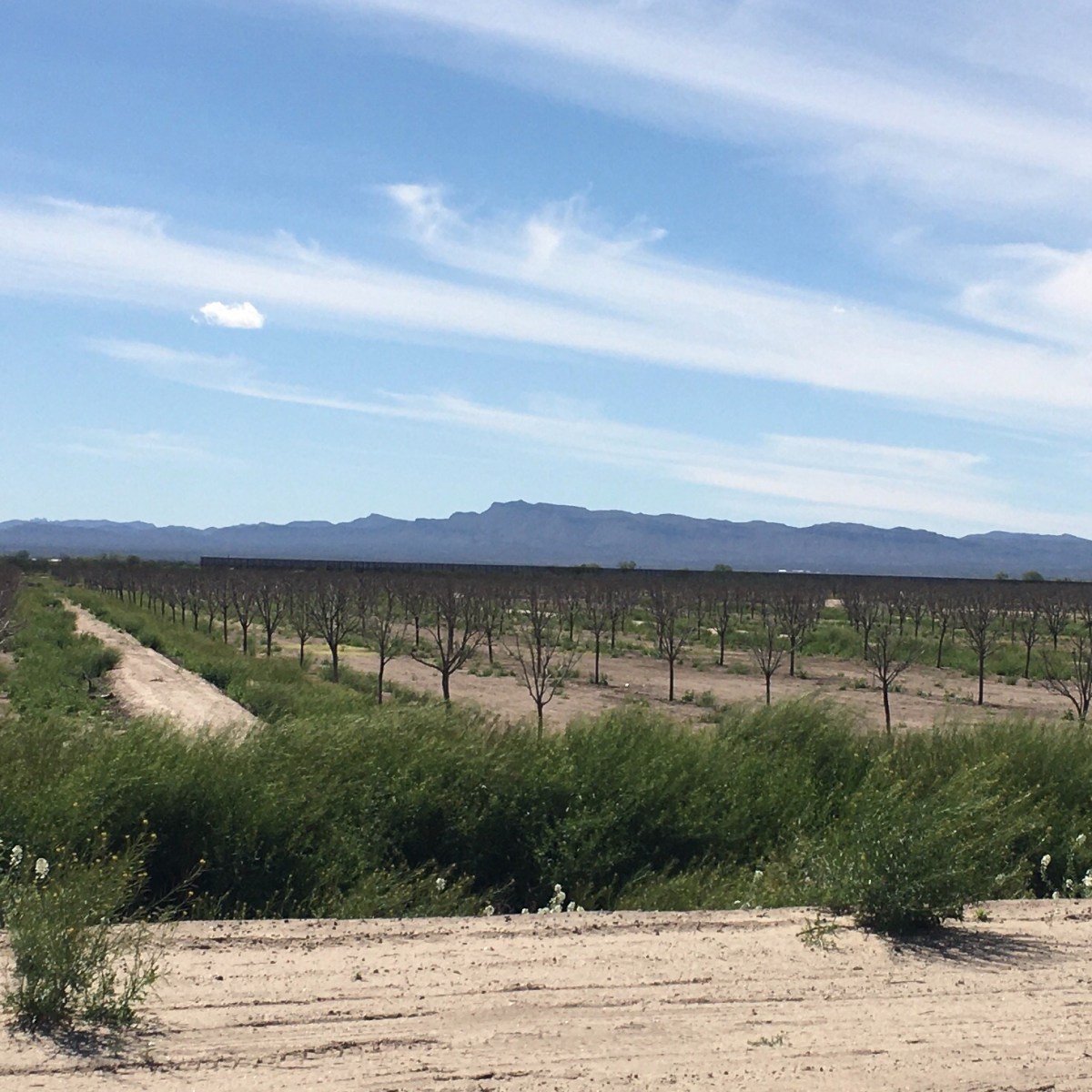 Day 20. Day 1 Texas. Miles and&nbsp;miles….