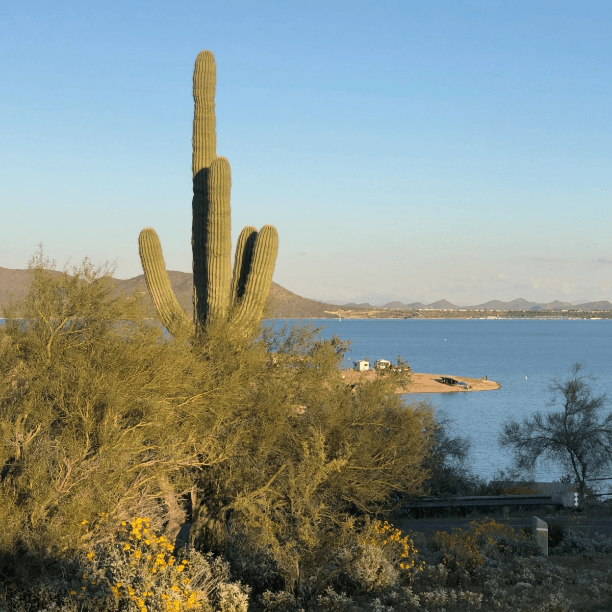 Day 8. 65 mi. Some&nbsp;downhill