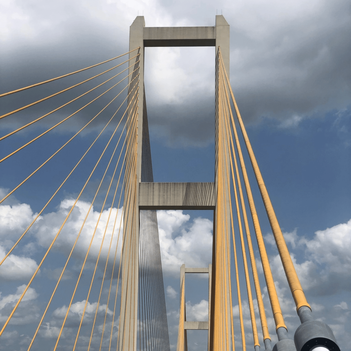 Bridges, levees and happy&nbsp;dogs