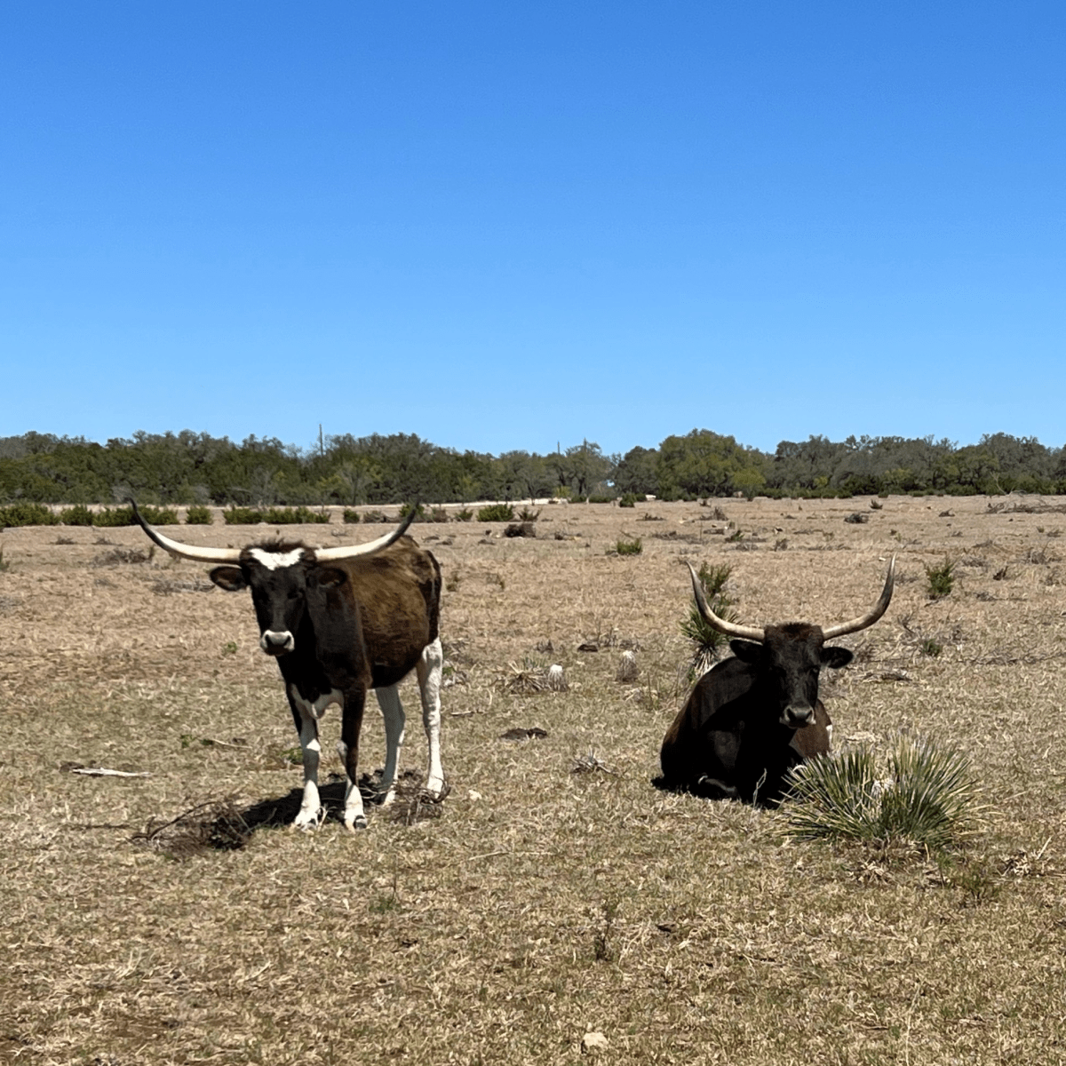 Johnson to Johnson country&nbsp;ride