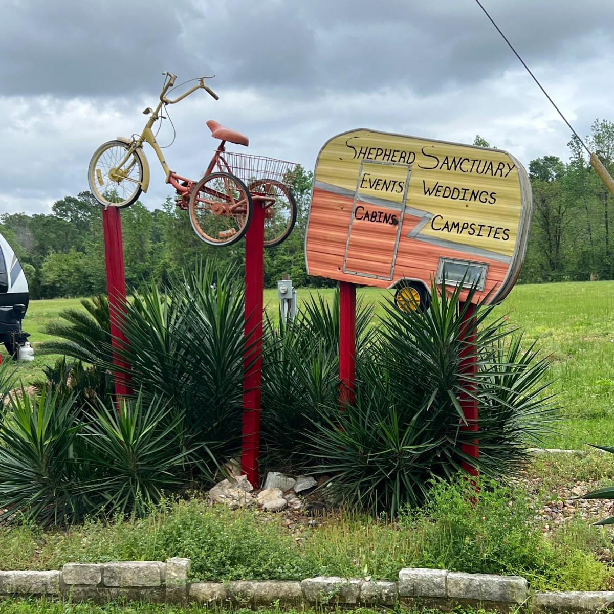 Texan Double Six Shooter =&nbsp;66!!