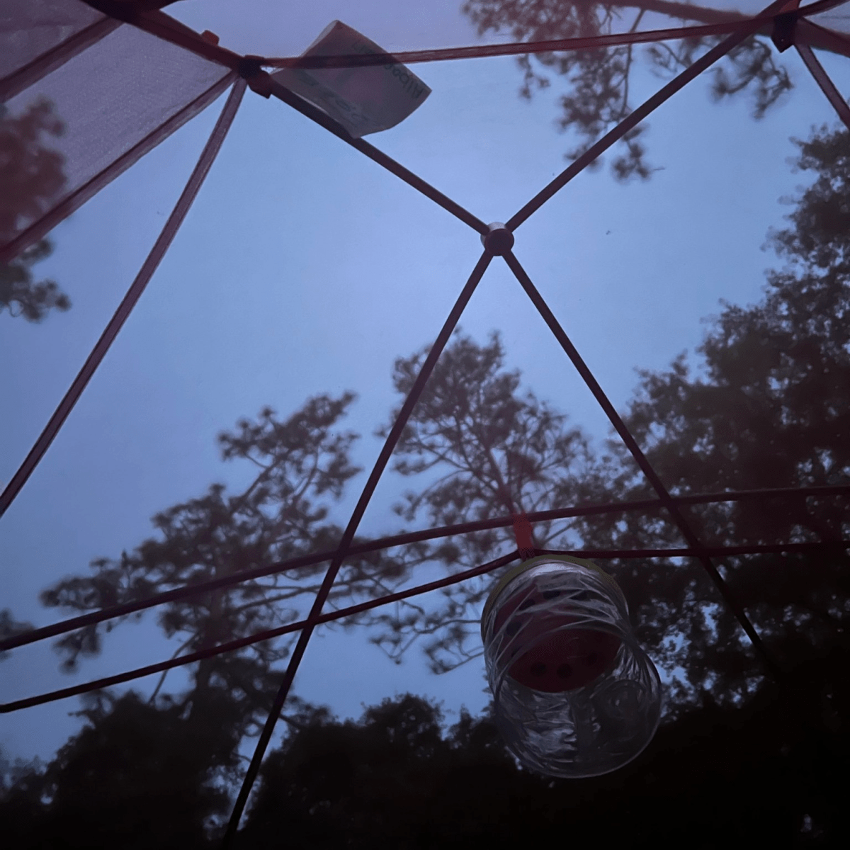 Whole lot of nothing going&nbsp;on…