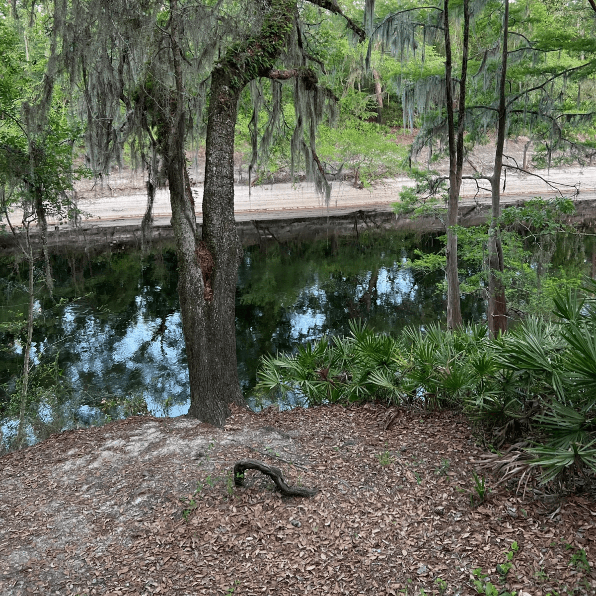 Oh Susannah…don’t you cry for&nbsp;me