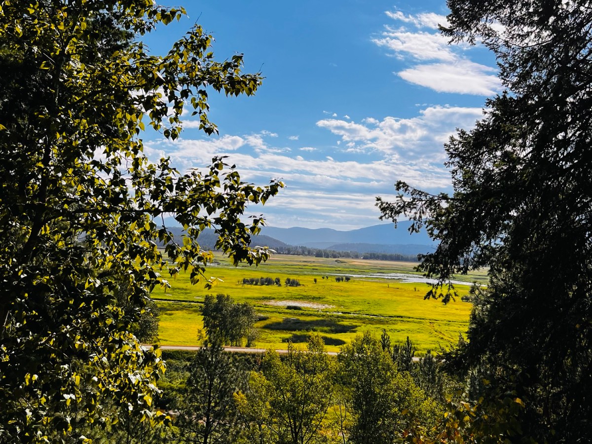 Day 2. From birds to&nbsp;brews…