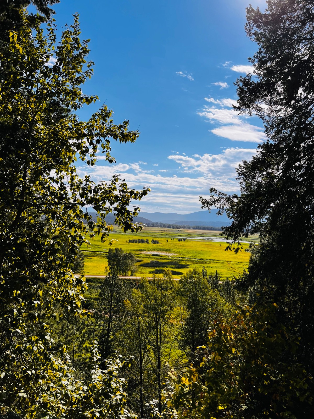 Day 2. From birds to&nbsp;brews…