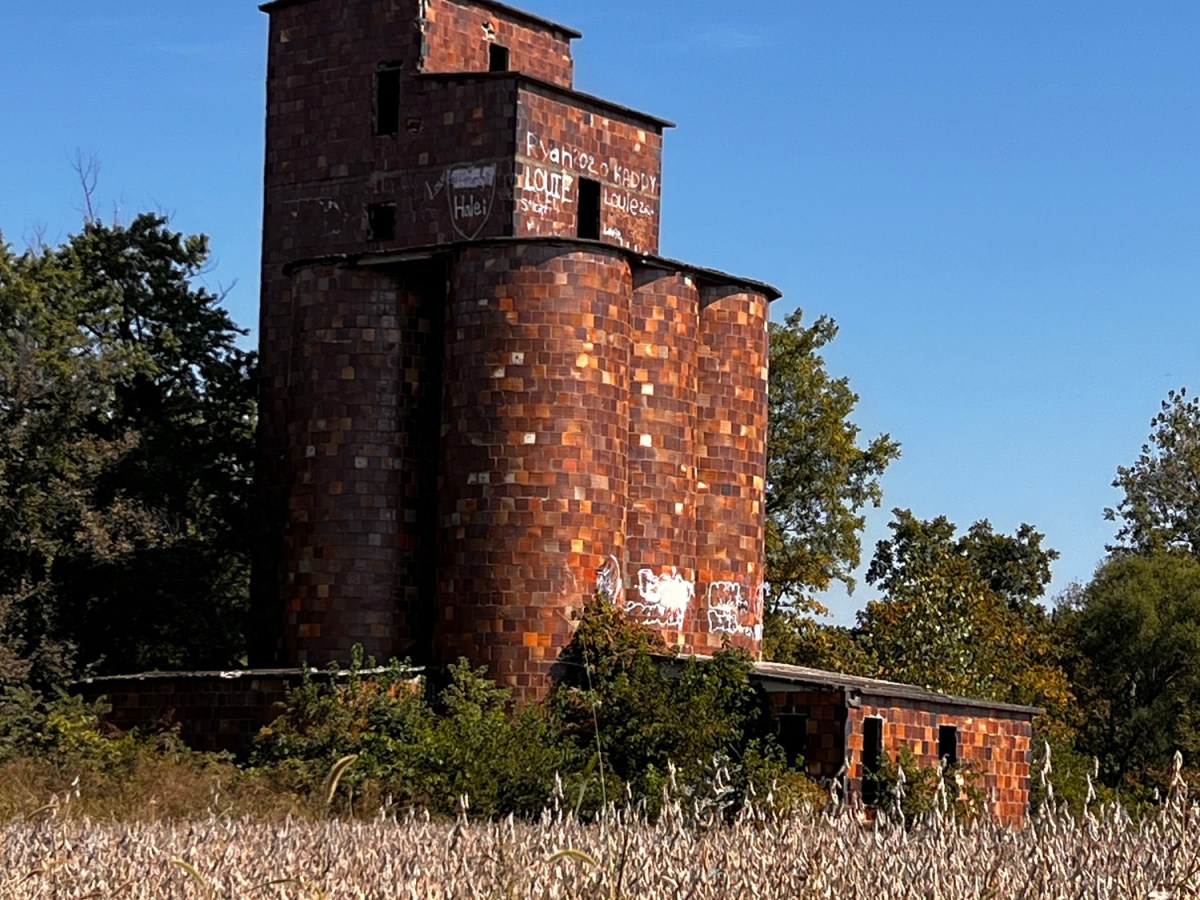 Meeting the “Mighty&nbsp;Mo”…