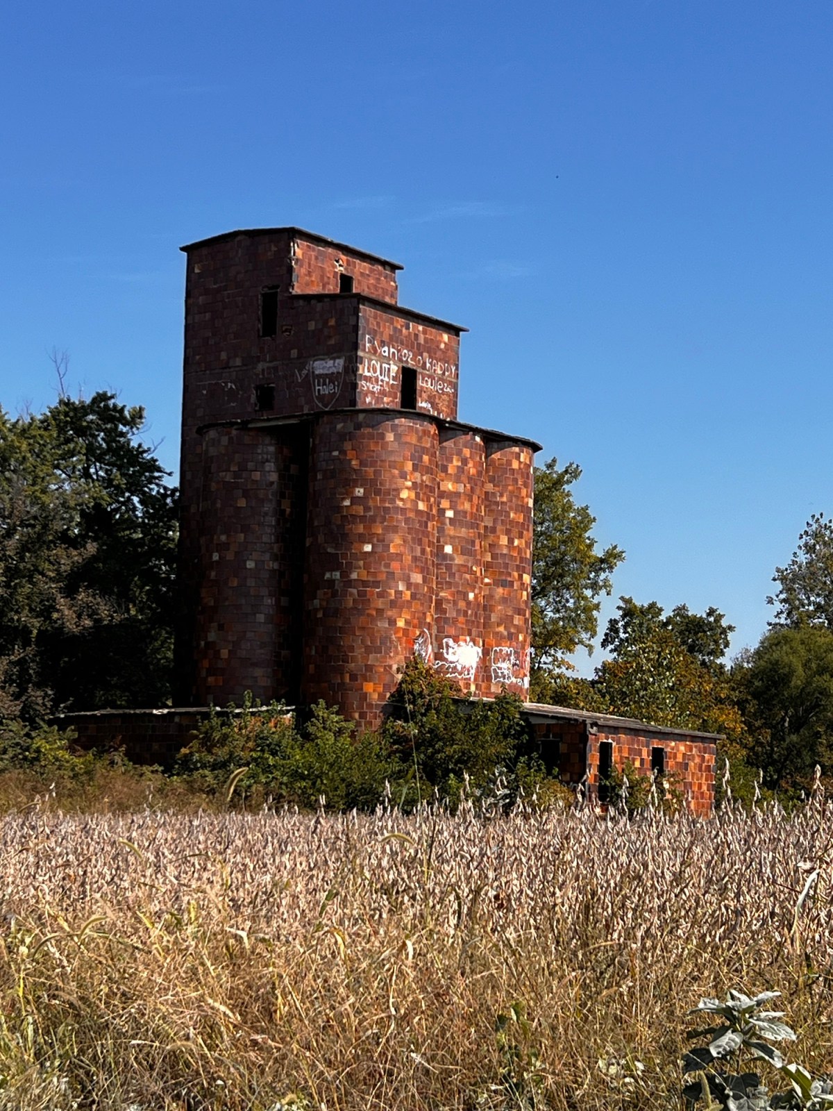 Meeting the “Mighty&nbsp;Mo”…