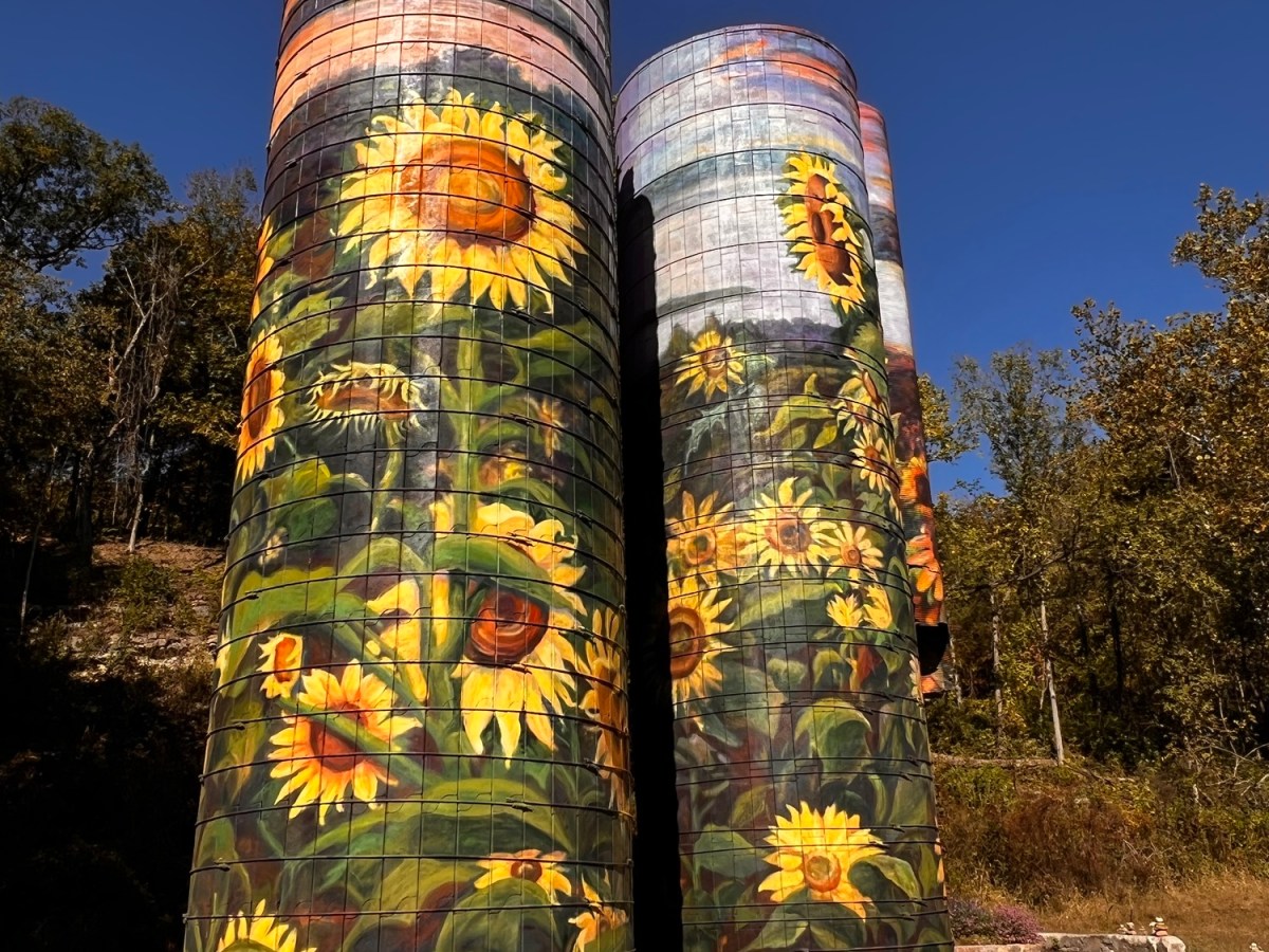 Here comes the sun…&nbsp;flowers