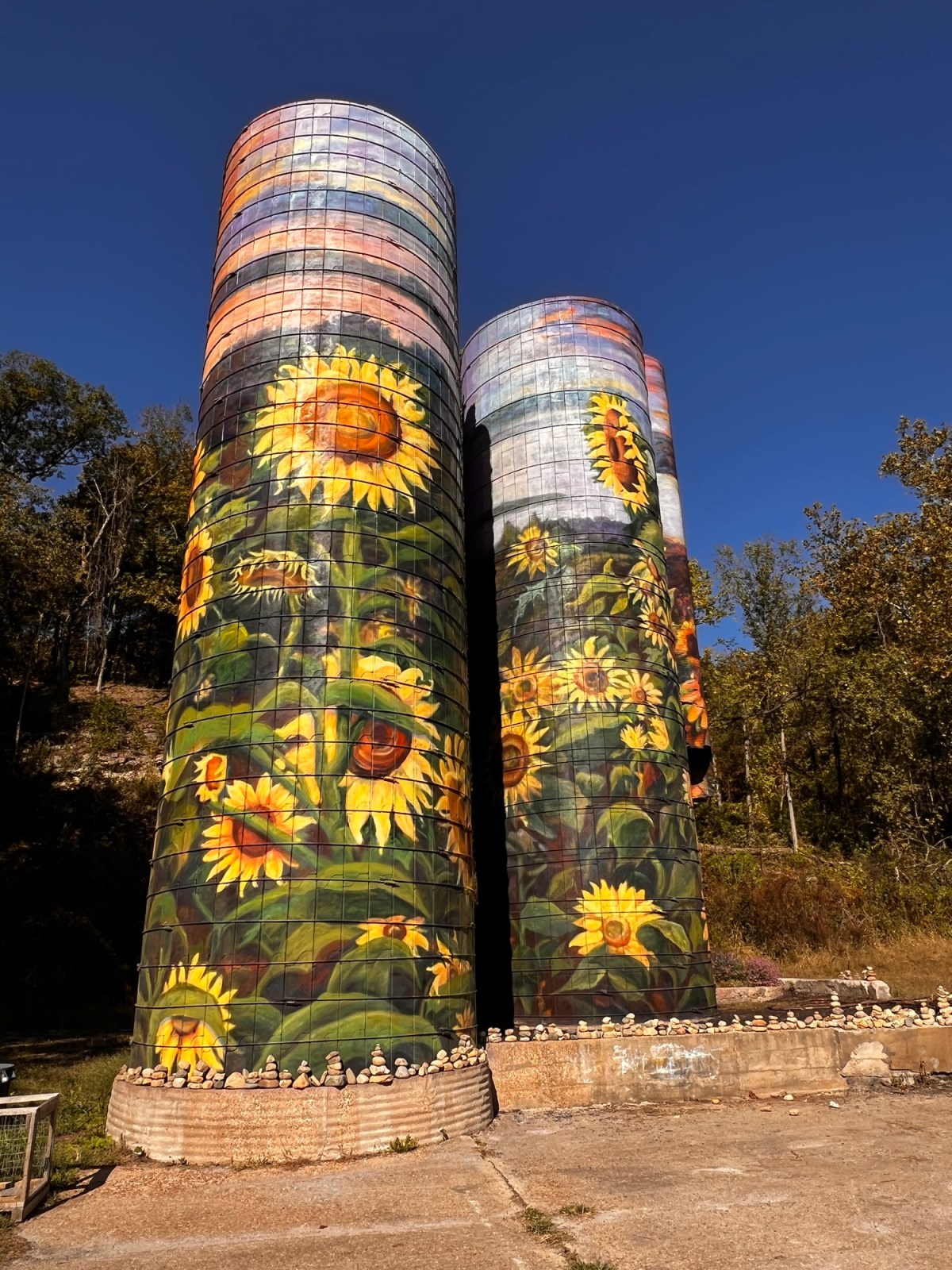 Here comes the sun…&nbsp;flowers