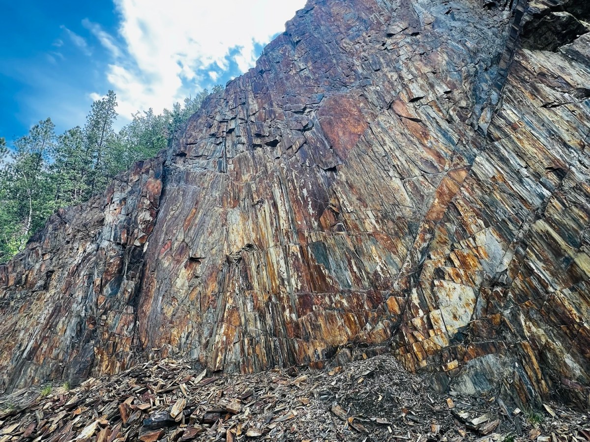 Absolutely delightful day