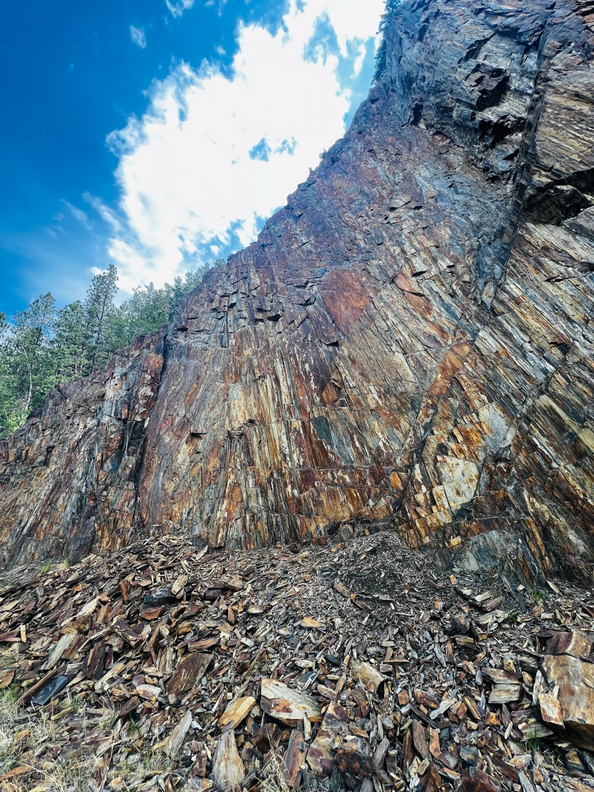 Absolutely delightful day