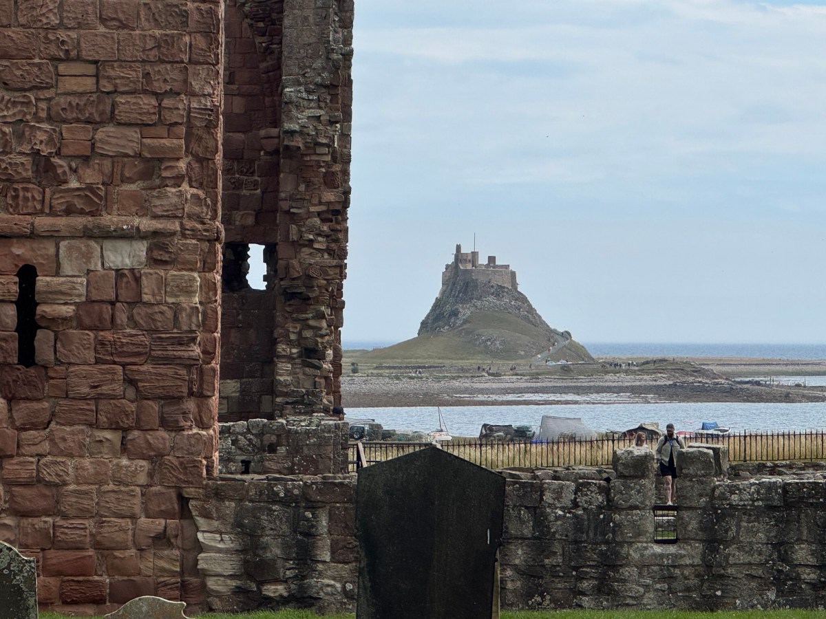 Timing the tide to&nbsp;ride