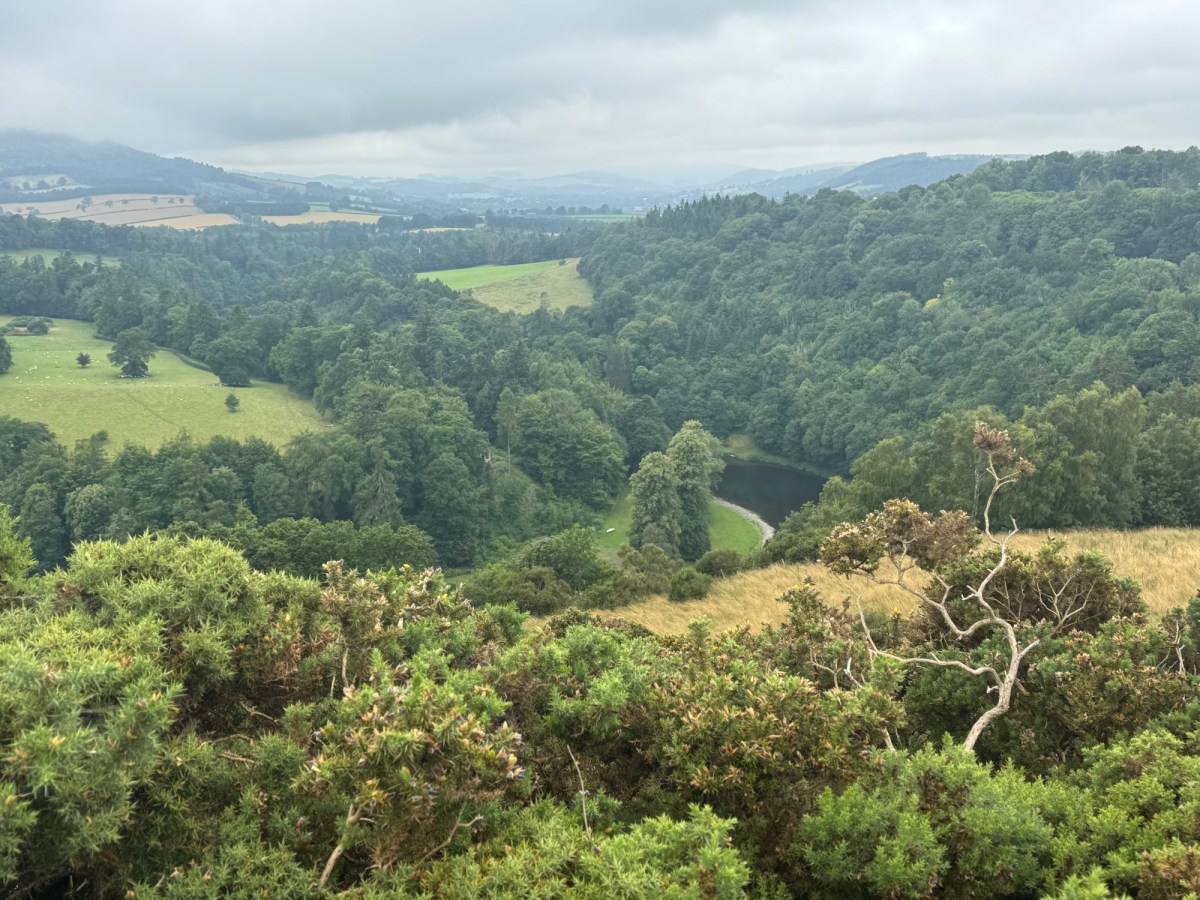 Back in the&nbsp;Borders