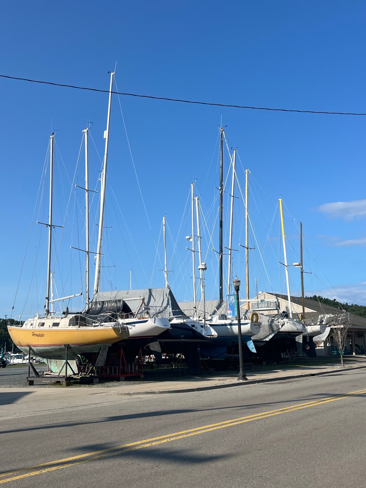 Day 15. Start week 3… easy&nbsp;enough