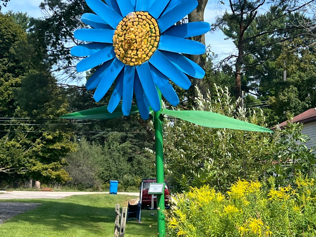 Day 17. Perfect day, perfect&nbsp;evening