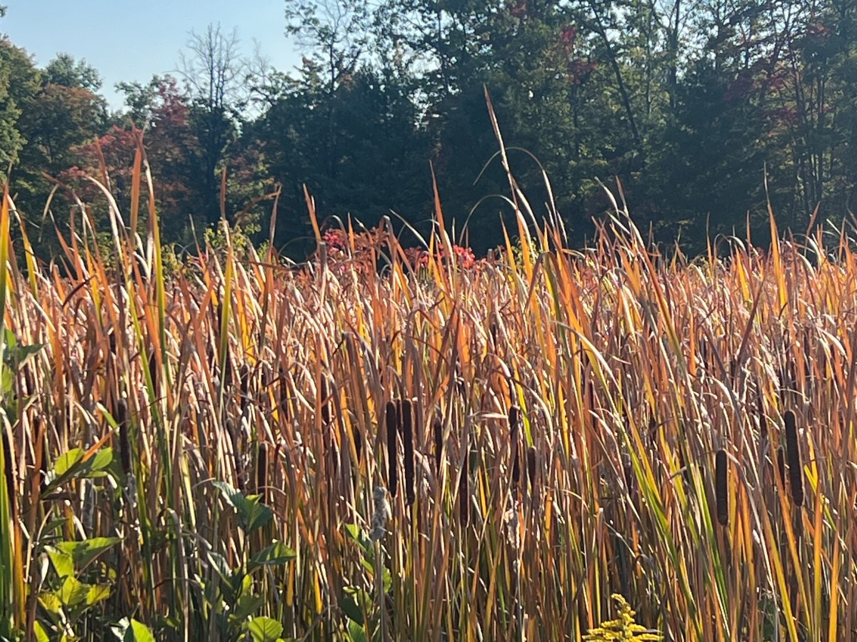 Day 19.  First stealth&nbsp;camping