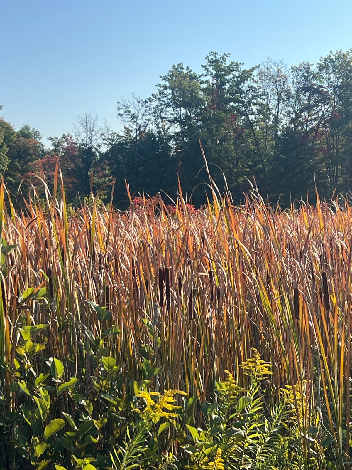 Day 19.  First stealth&nbsp;camping