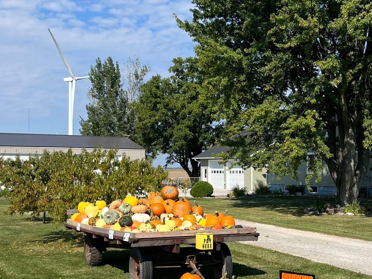 Day 22. Our Eastern&nbsp;Edge