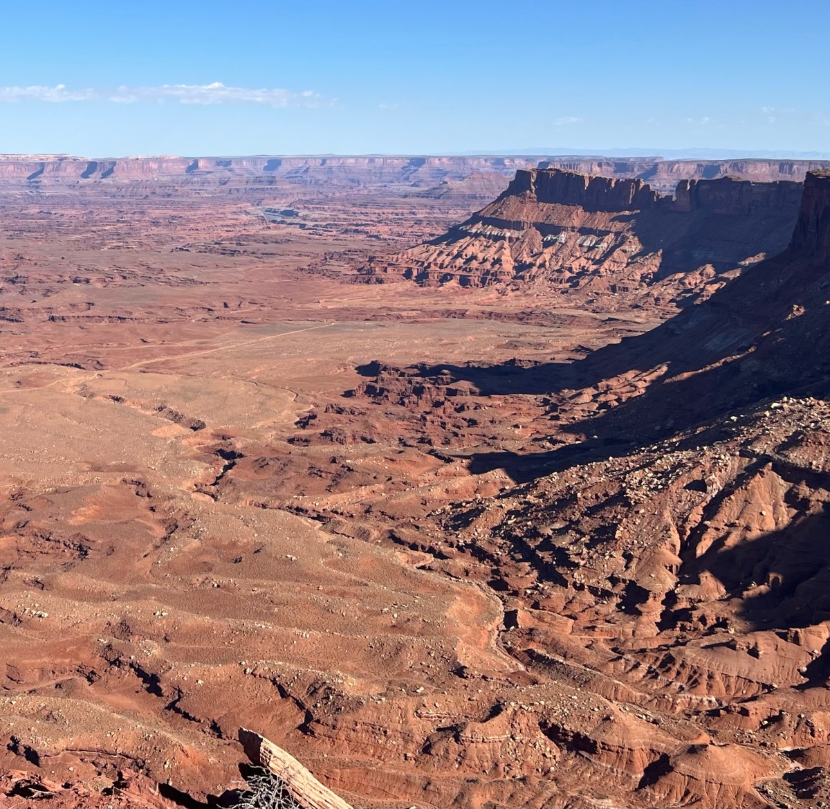 Wandering through ruins