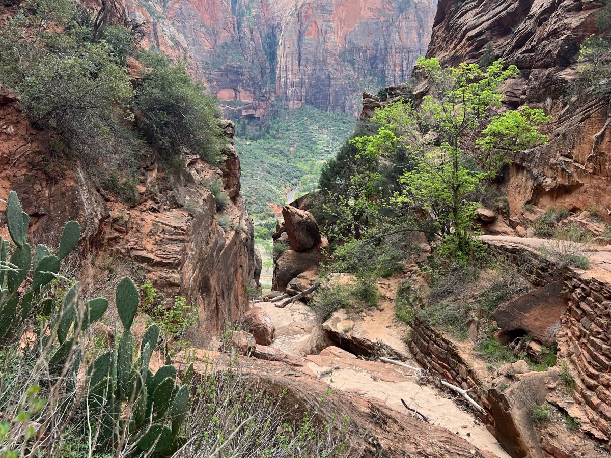 Last Best Hike