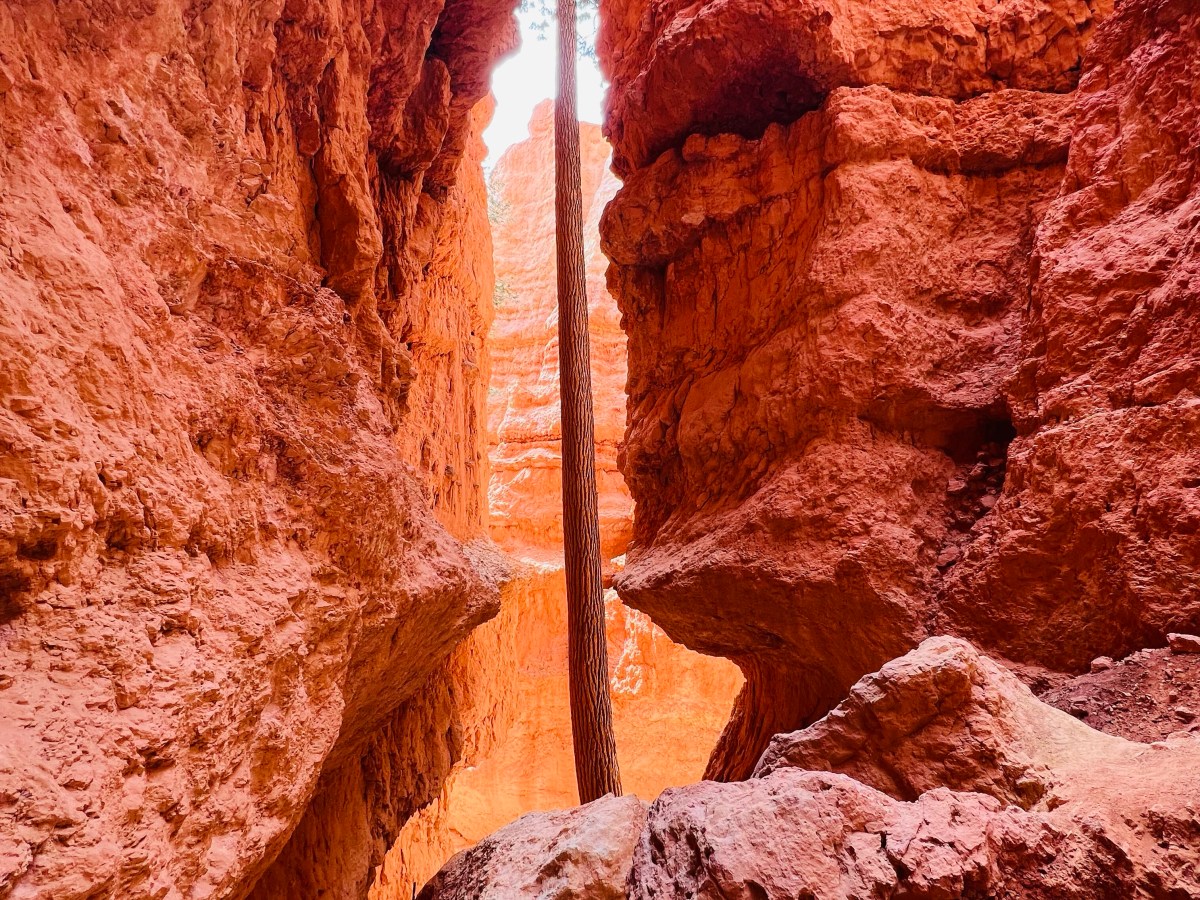Flabbergasted by Bryce&nbsp;NP
