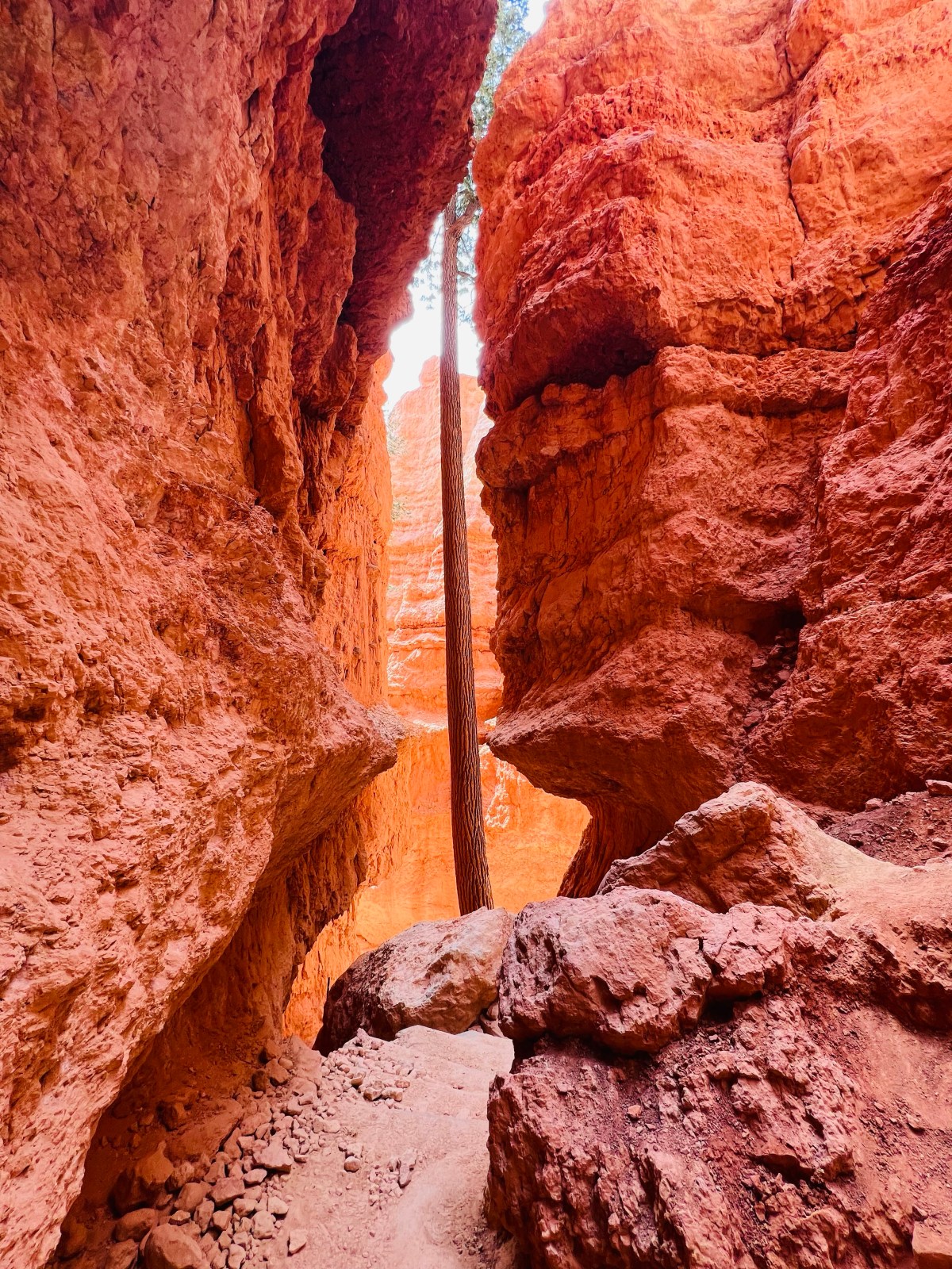 Flabbergasted by Bryce&nbsp;NP