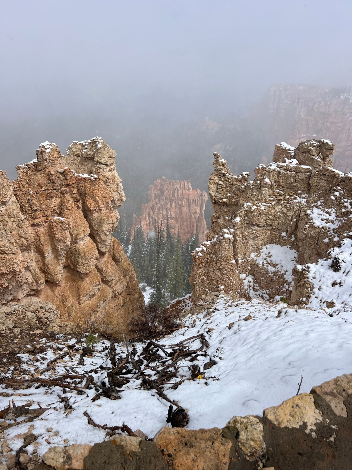 April Foolishly Cold +&nbsp;Windy