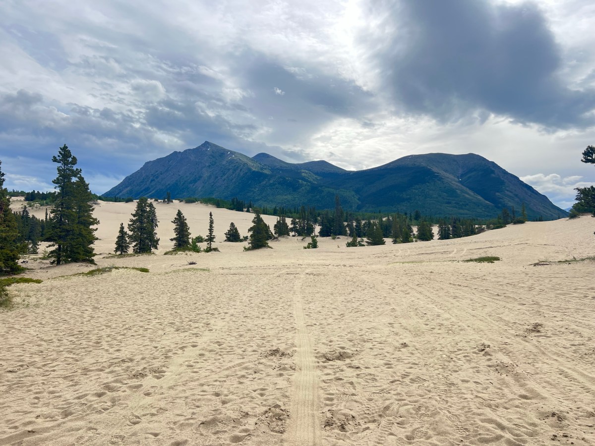 Carcross to Whitehorse,&nbsp;Yukon