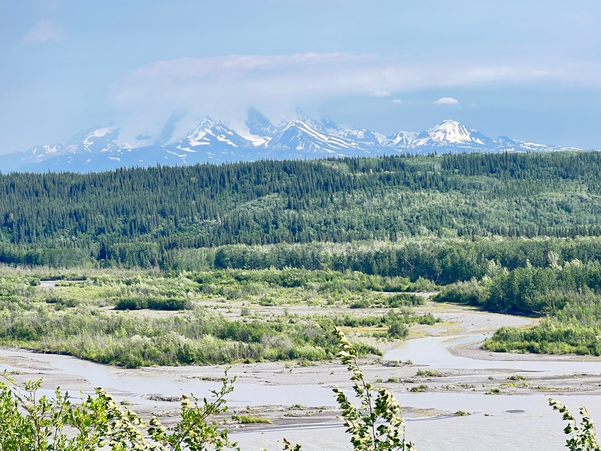 Trip pivot to Denali&nbsp;Hwy.