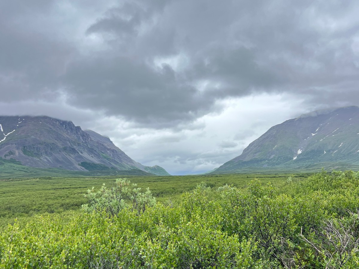 Denali Highway