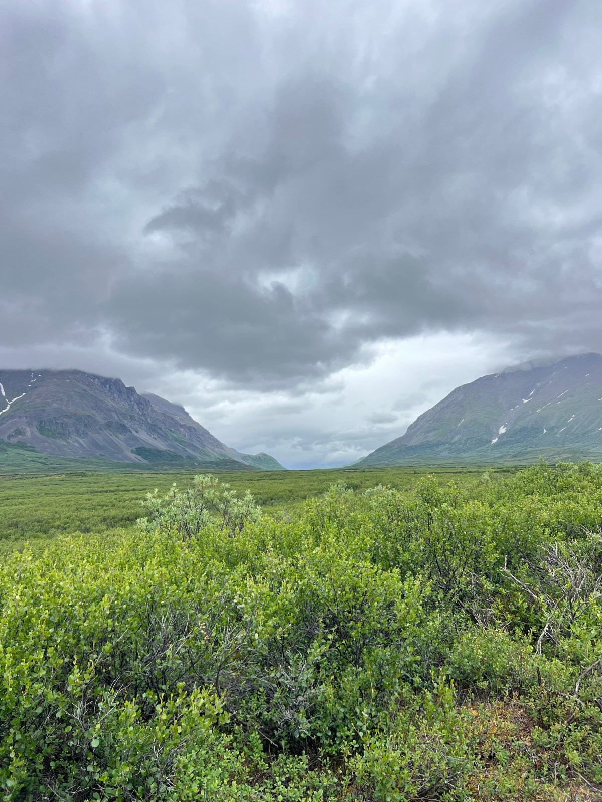 Denali Highway