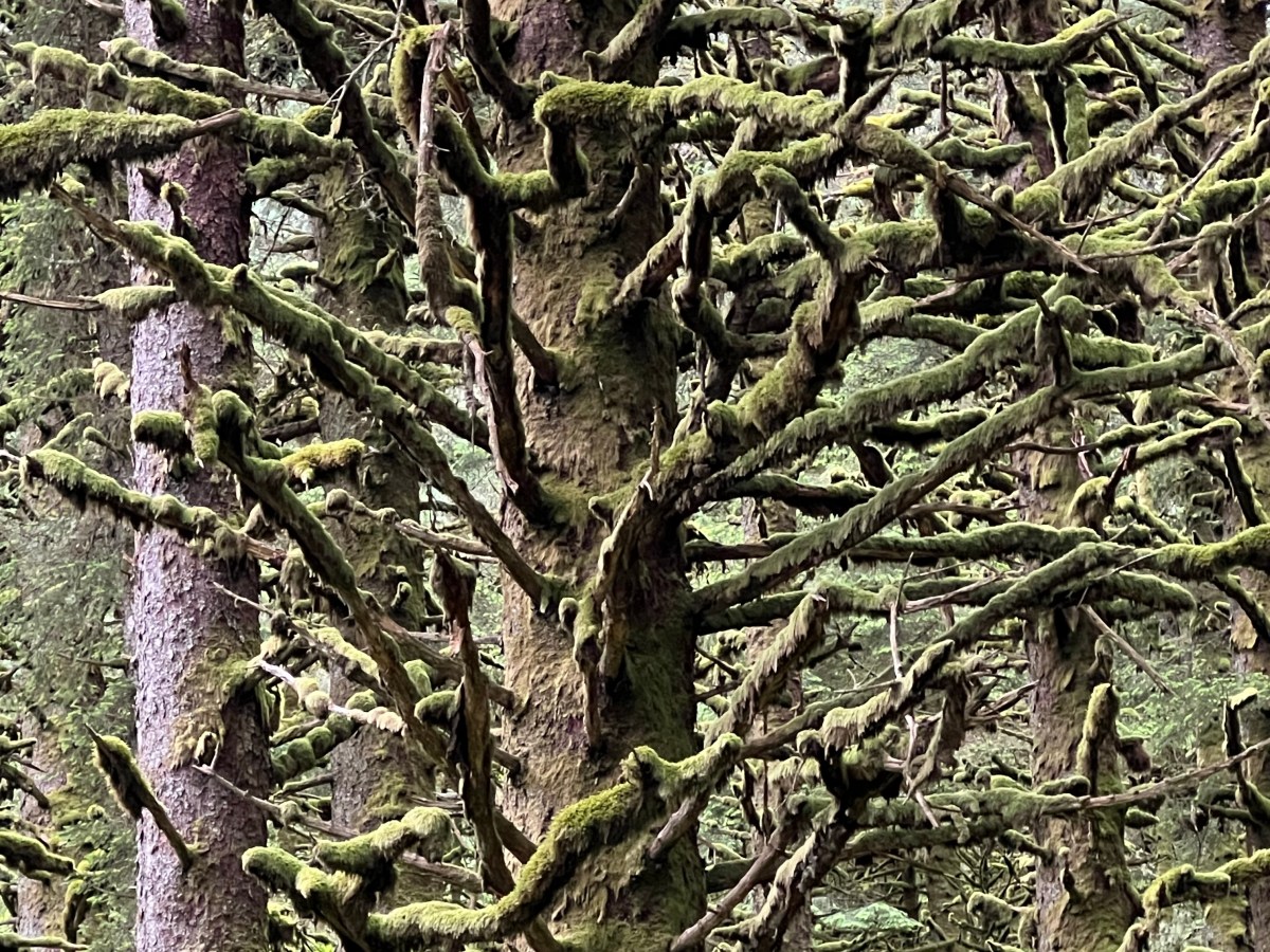 Kodiak Island… day&nbsp;1
