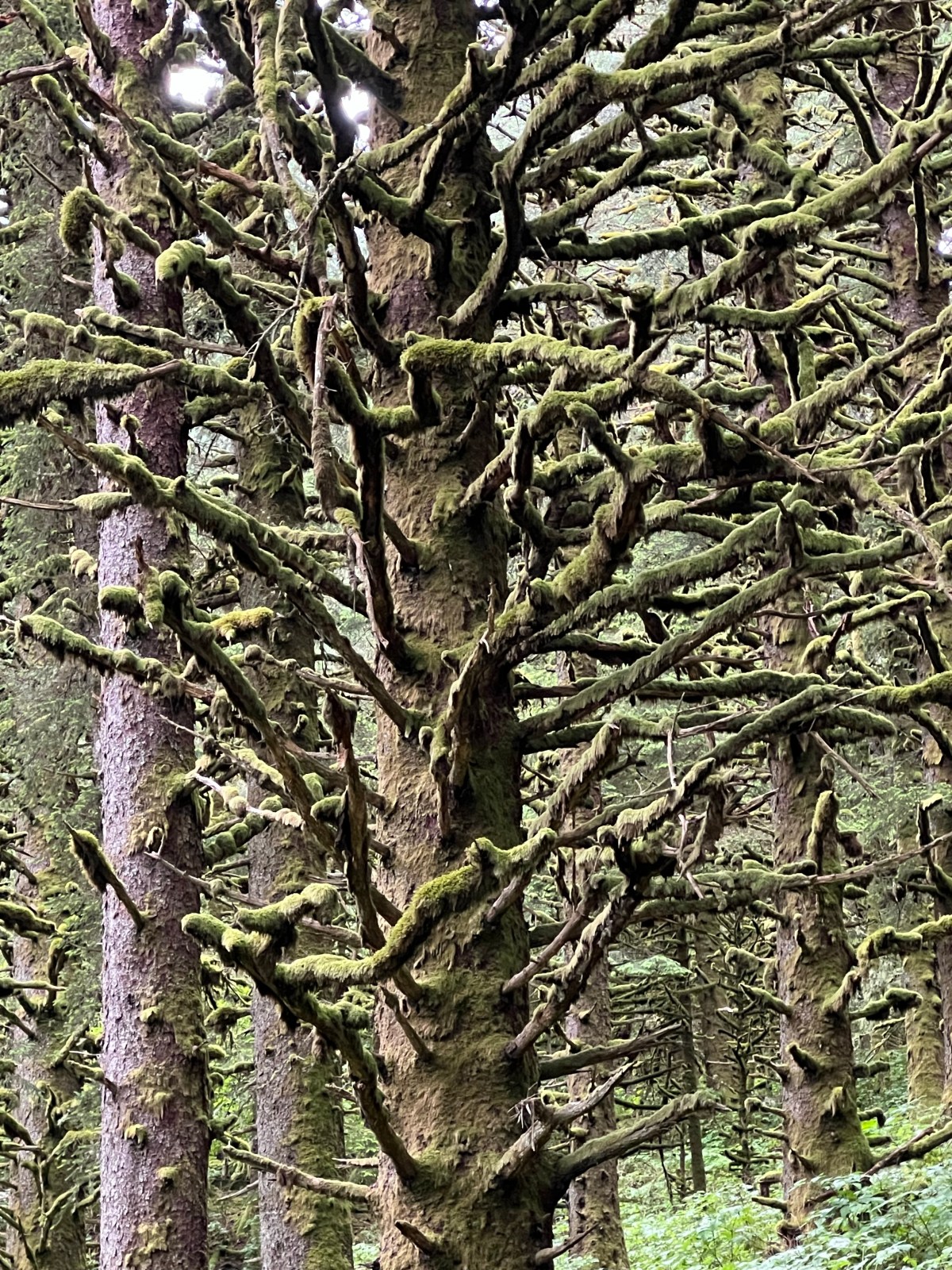 Kodiak Island… day&nbsp;1