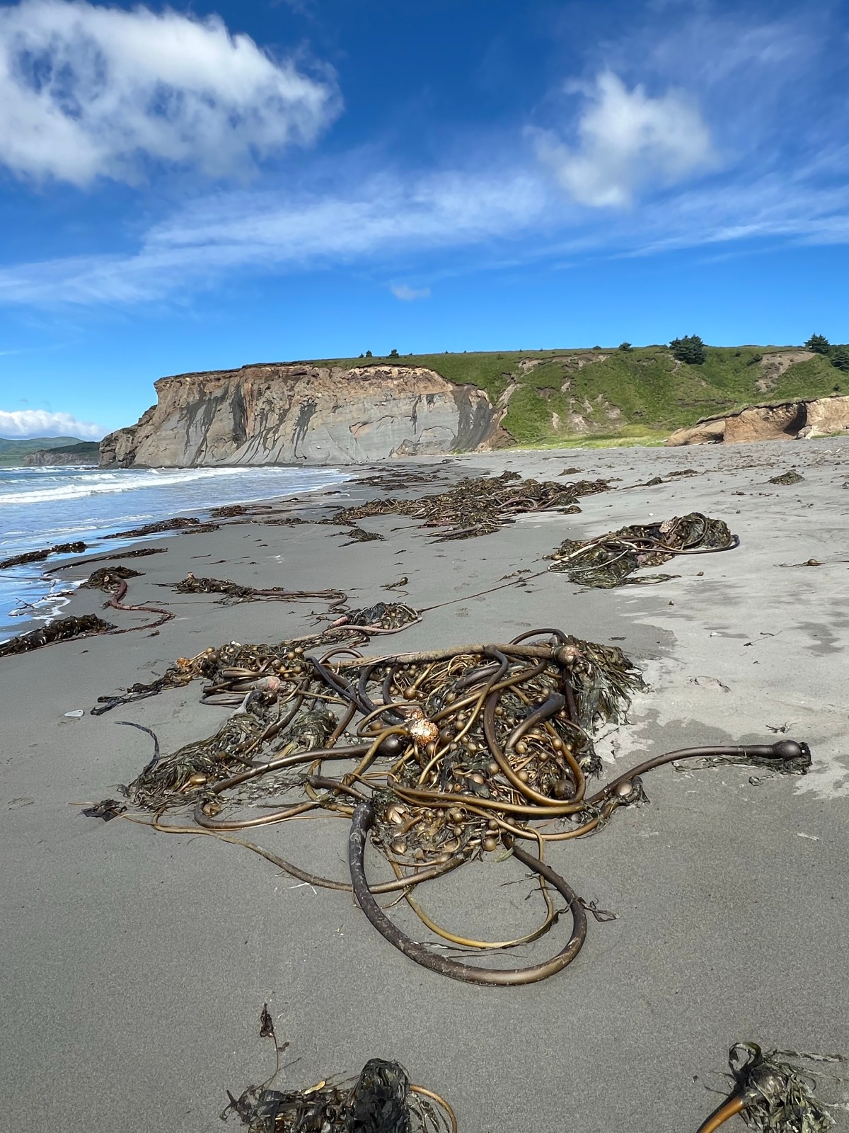 Kodiak… day 2