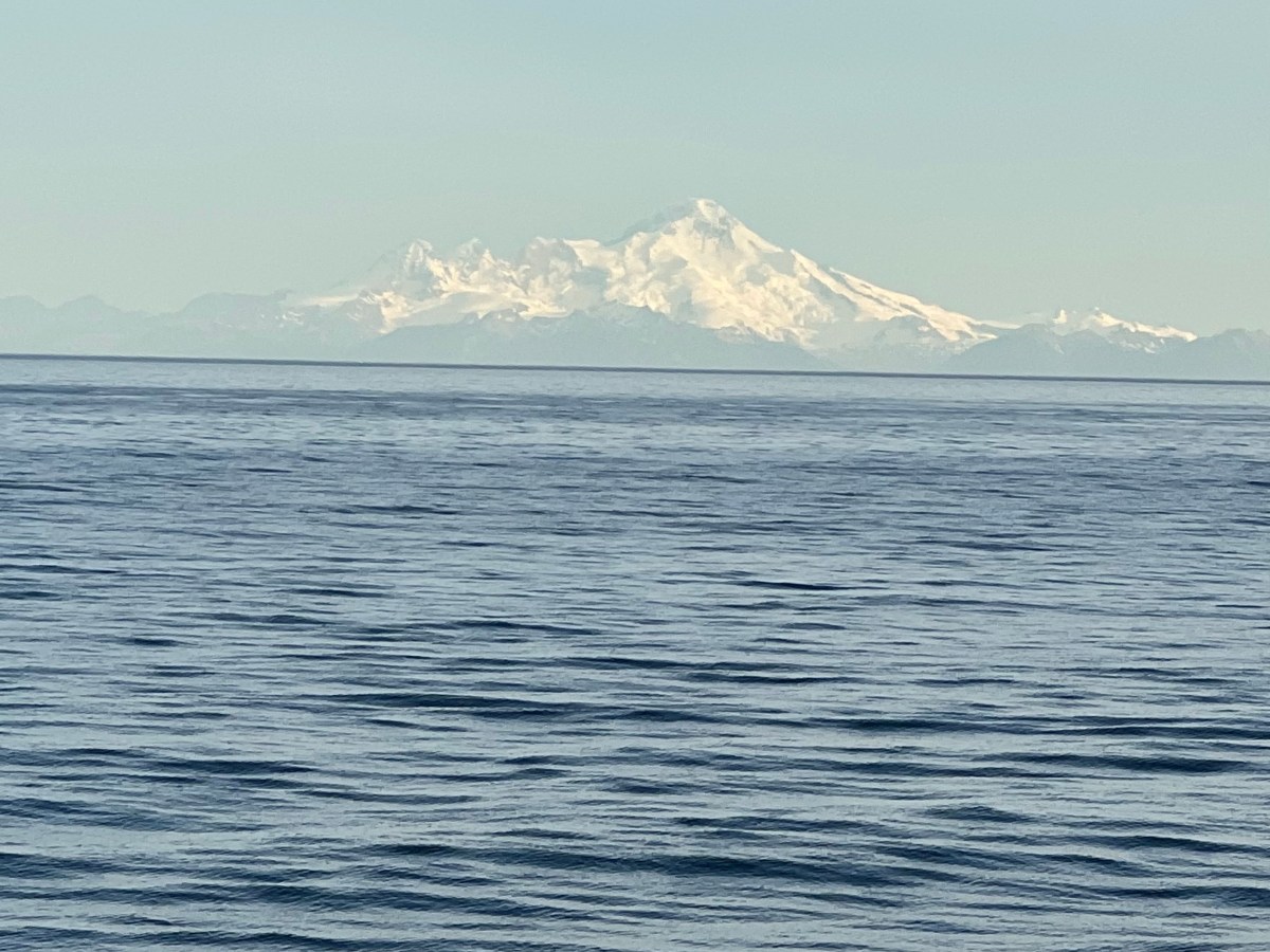 Mountains are out!