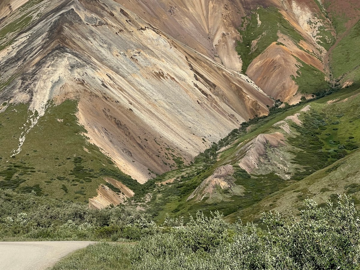 Bicycling Denali