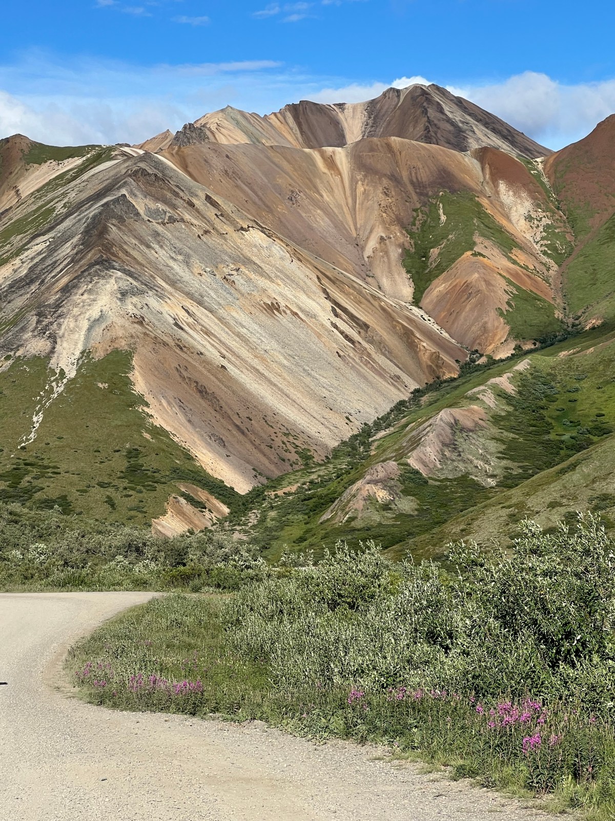 Bicycling Denali